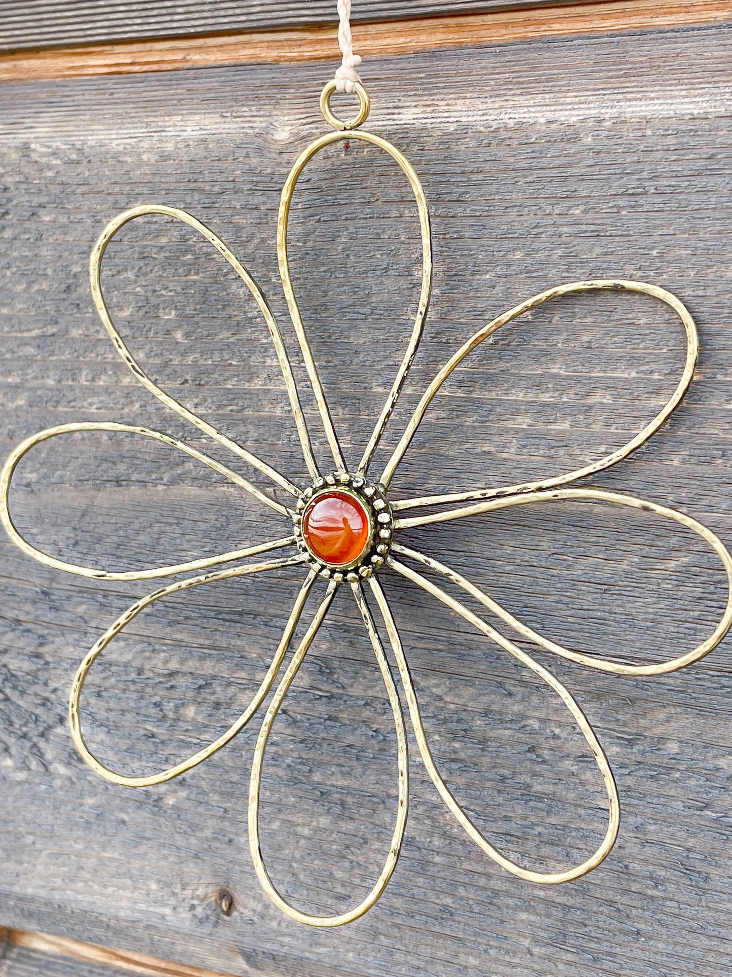 Pâquerettes murales🌼